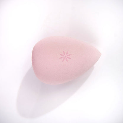 Brushworks Complexation Beauty blender