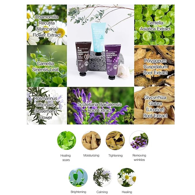 Mizon Collagen Hand & Foot Cream